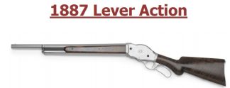 CHIAPPA 1887 12GA. 22” BARREL chrome