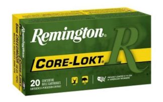 REM 6mm Creedmoor 100GR PSPCL