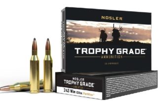 NOSLER TGA-243 WIN 100G PT SP (20CT)