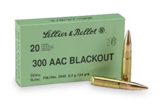 S & B (51244) c.300 AAC (Black Out) 124GR FMJ