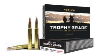 NOSLER TGA-280 ACK IMP 160G AB SP (20CT)