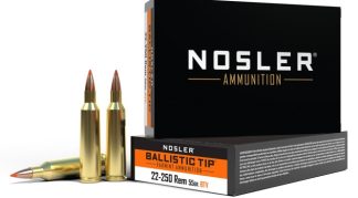 NOSLER 22-250 REM 55GR BALLISTIC TIP (20 CT.)