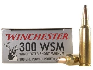 WIN. c.300 WSM 180 gr. PP