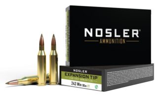 NOSLER 243 WIN 90 GR E-TIP