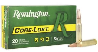 REM. c.308 WIN. 180GR. PTD SP