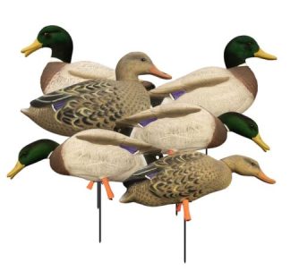 HIGDON MAGNUM FULL BODY MALLARD FIELD DECOY 6 PK.
