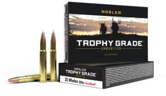 NOSLER TGA-35 WHELEN 225G AB SP (20CT)