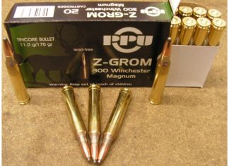PRVI c.300 ACC BLACKOUT 125gr HPBT  20 rds