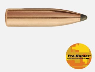 SIERRA 6MM 100 GR SPT PRO-HUNTER 100RD