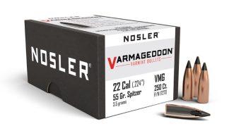 NOSLER VG-22 55G FB TIPPED (250CT)