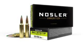 NOSLER BTA-300 WSM 165G BT SP (20CT)