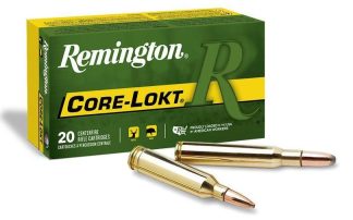 REM 300 WIN MAG 180GR CORE-LOKT COPPER HP